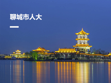 聊城市人大代表建议议案和代表履职平台