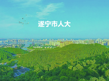 遂宁市人大代表履职服务平台