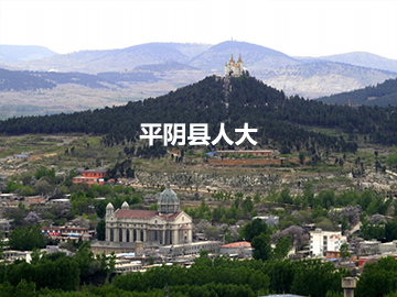 平阴县人大代表履职管理系统