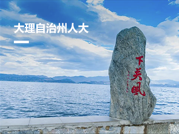 大理自治州人大建议办理系统