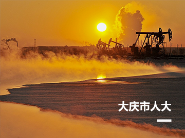 大庆市人大代表履职服务平台