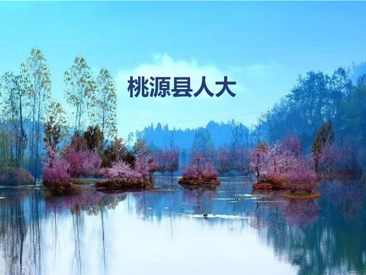 桃源县人大代表履职服务平台