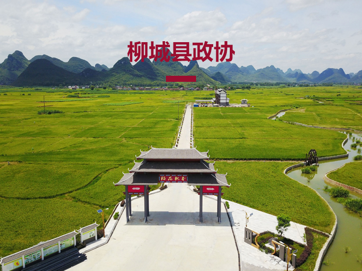 柳城县智慧政协信息平台