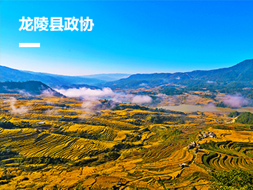 龙陵县&ldquo;智慧政协&rdquo;平台