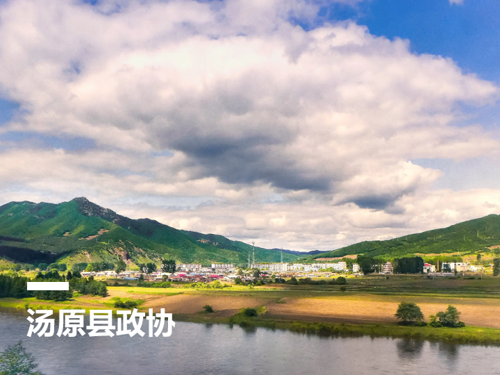 汤原县&ldquo;智慧政协&rdquo;