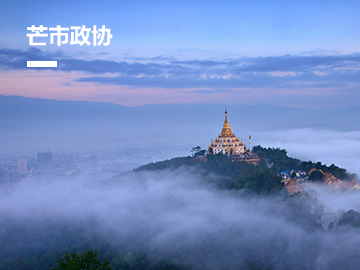 芒市信息化平台系统