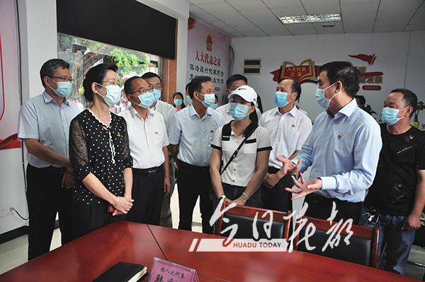 市人大常委会调研花都人大工作 代表履职服务出特色