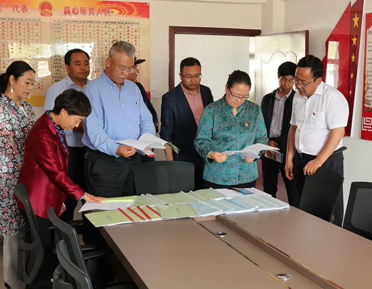 青海：三个镜头感受代表履职进行时